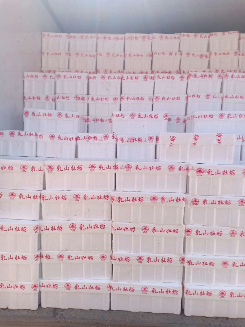 社区团购电商微商一口蚝网红带生蚝，可定制一件代发