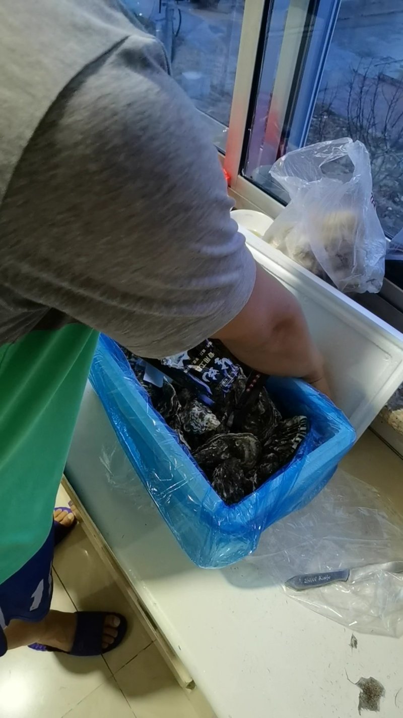 社区团购电商微商一口蚝网红带生蚝，可定制一件代发