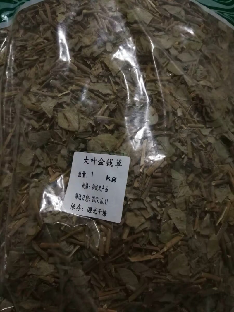 中药材野生大叶金钱草农家初选11111