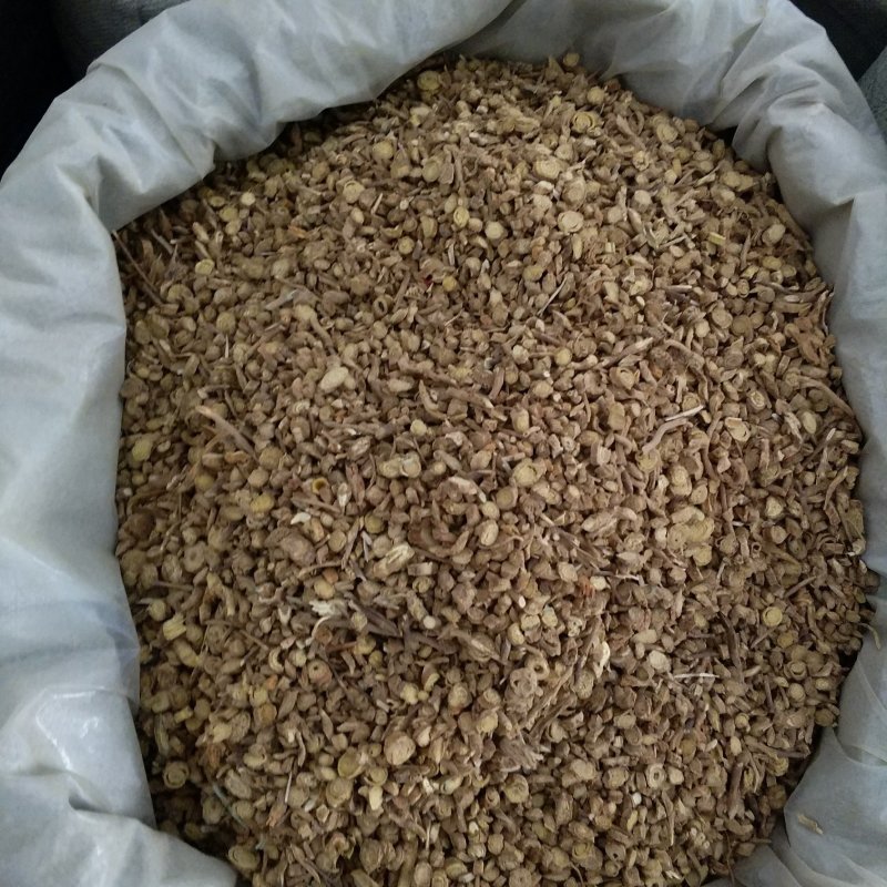 振兴药材批发供应黄芩产地甘肃规格齐全