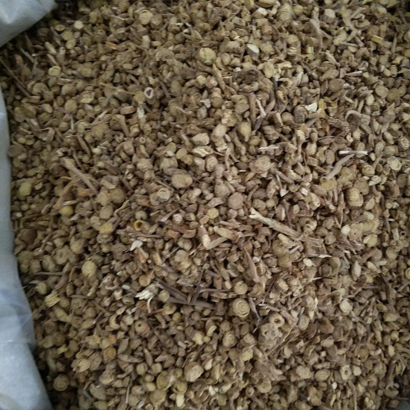 振兴药材批发供应黄芩产地甘肃规格齐全