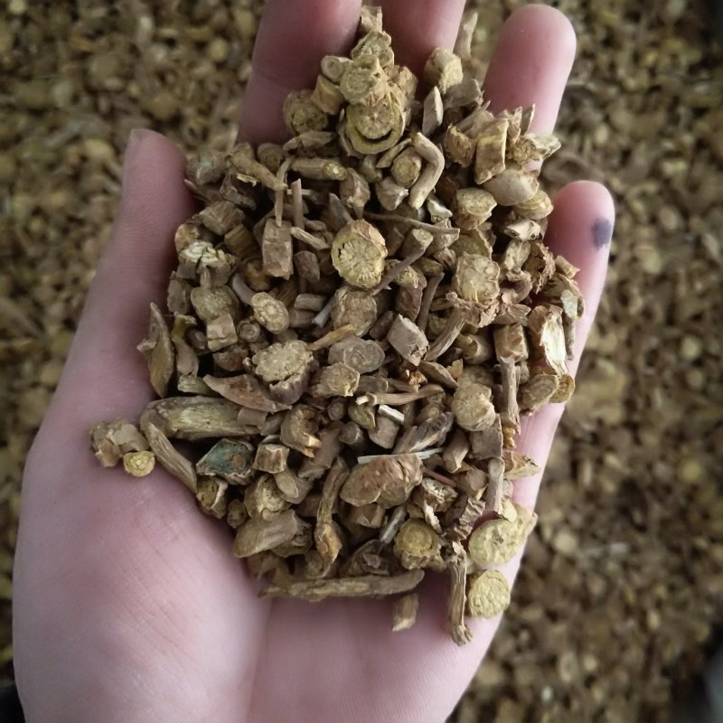 振兴药材批发供应黄芩产地甘肃规格齐全