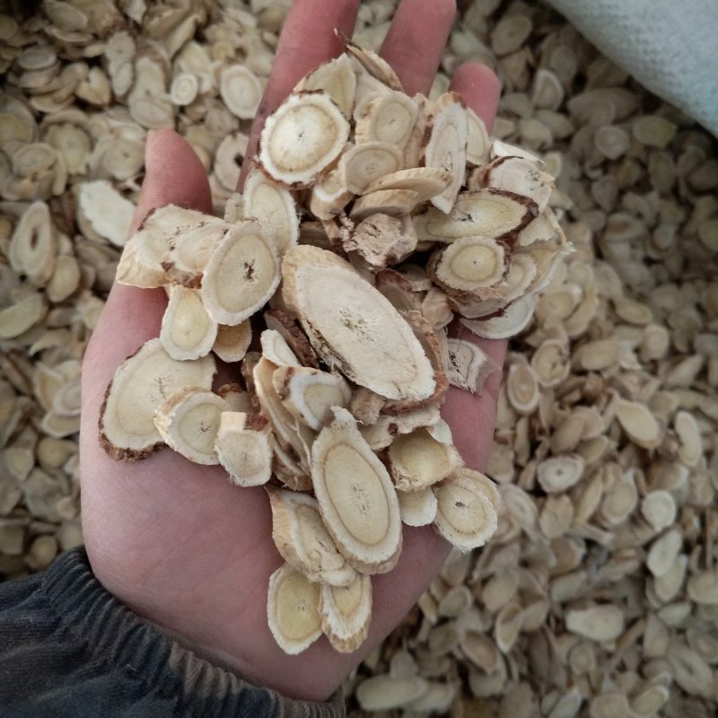 振兴药材批发供应黄芪产地甘肃规格齐全