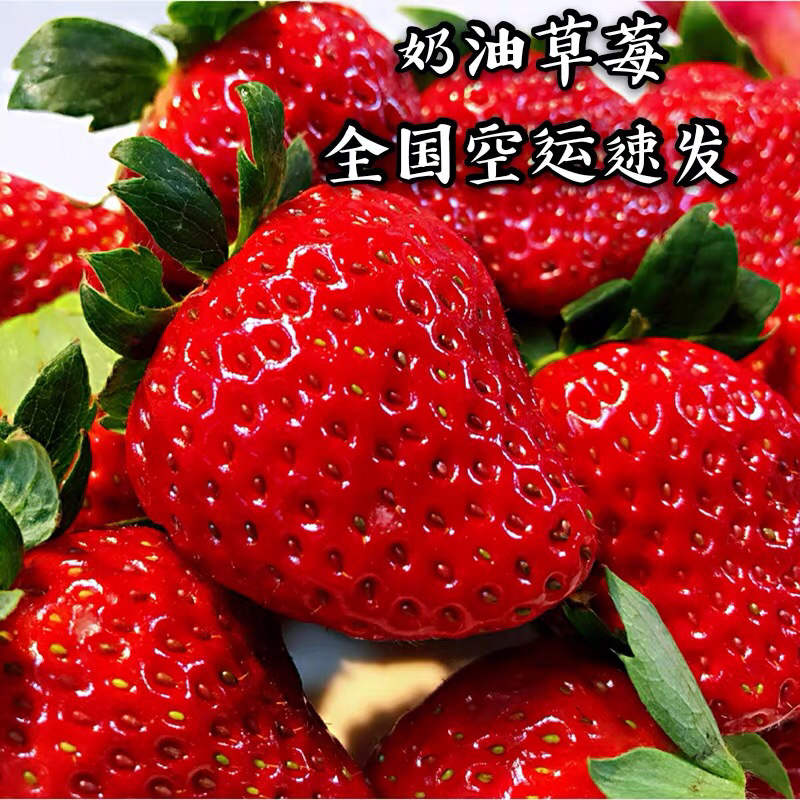 奶油草莓