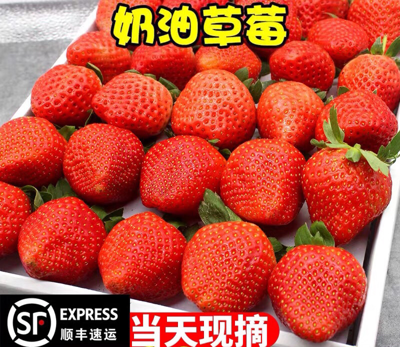 奶油草莓