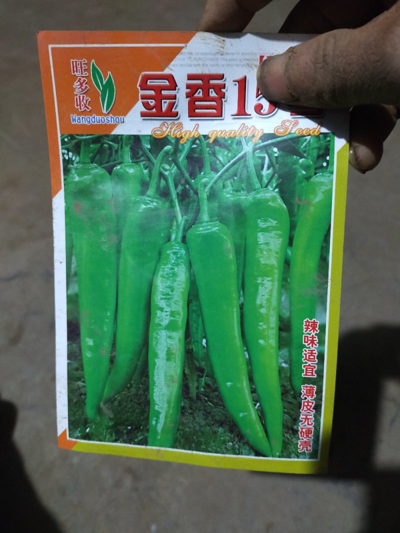 青椒苗.尖椒苗（皮薄）欢迎选购