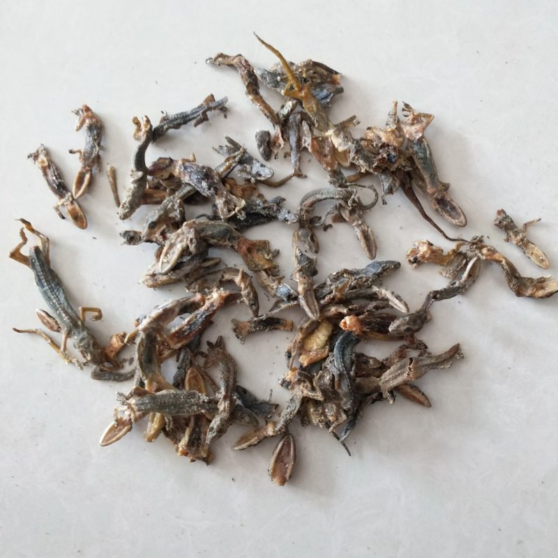 壁虎振兴药材批发供应天龙壁虎规格齐全
