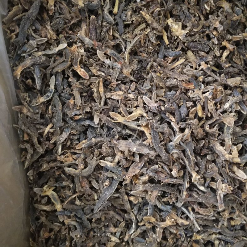 壁虎振兴药材批发供应天龙壁虎规格齐全