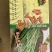 精品净蒿大量出产！产品佳！持续供货