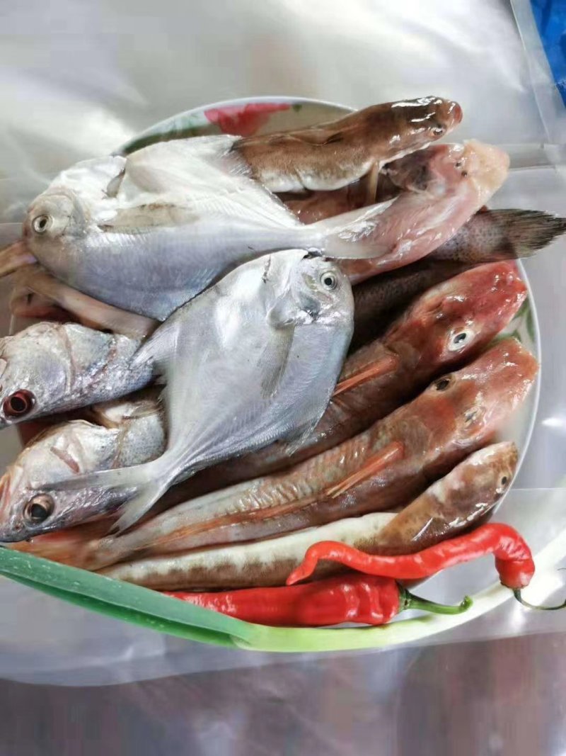 精加工海鲜一手货