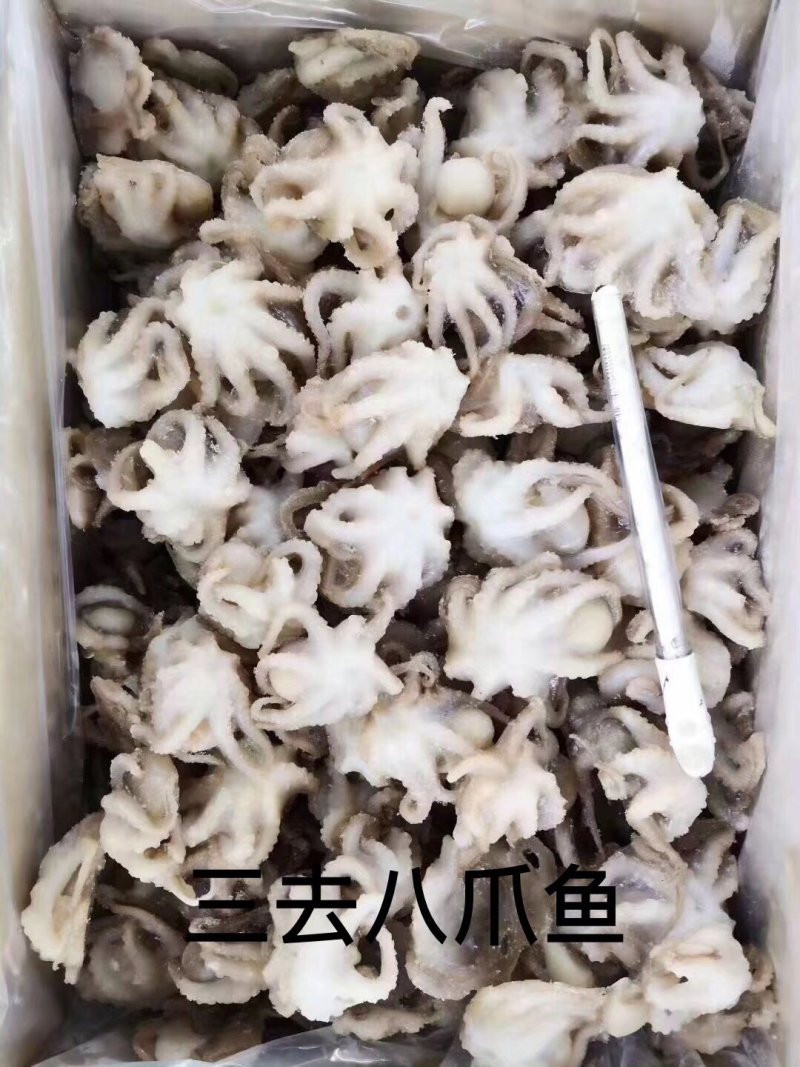 精加工海鲜一手货