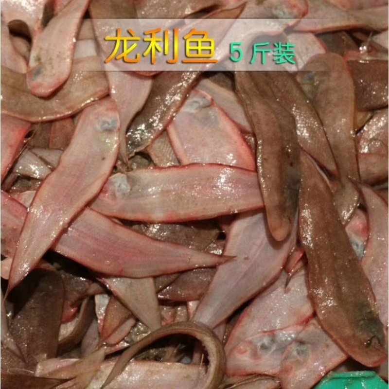 精加工海鲜一手货