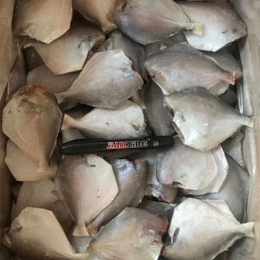 精加工海鲜一手货