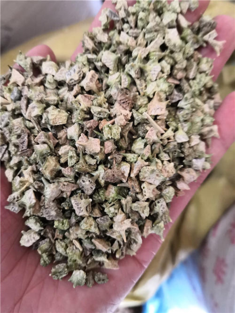 白蒺藜两斤包邮刺蒺藜白蒺藜白吉利炒蒺藜
