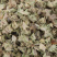 白蒺藜两斤包邮刺蒺藜白蒺藜白吉利炒蒺藜