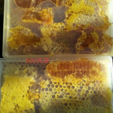 野生蜂蜜需要联系我哦