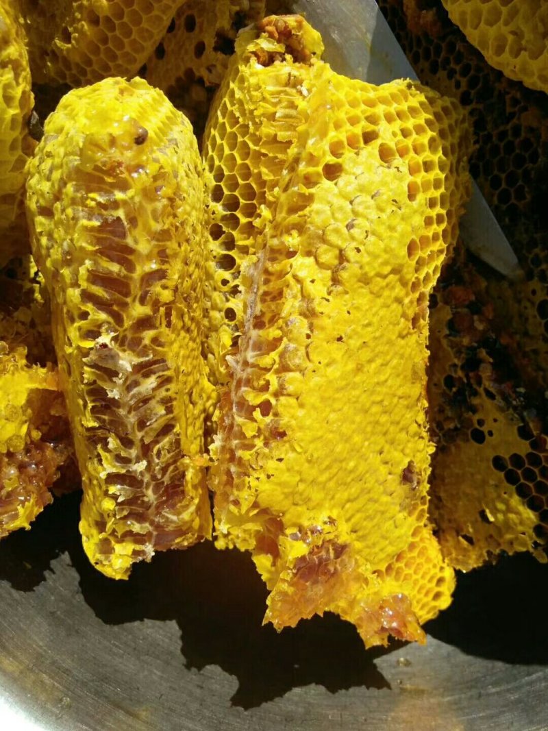 野生蜂蜜需要联系我哦