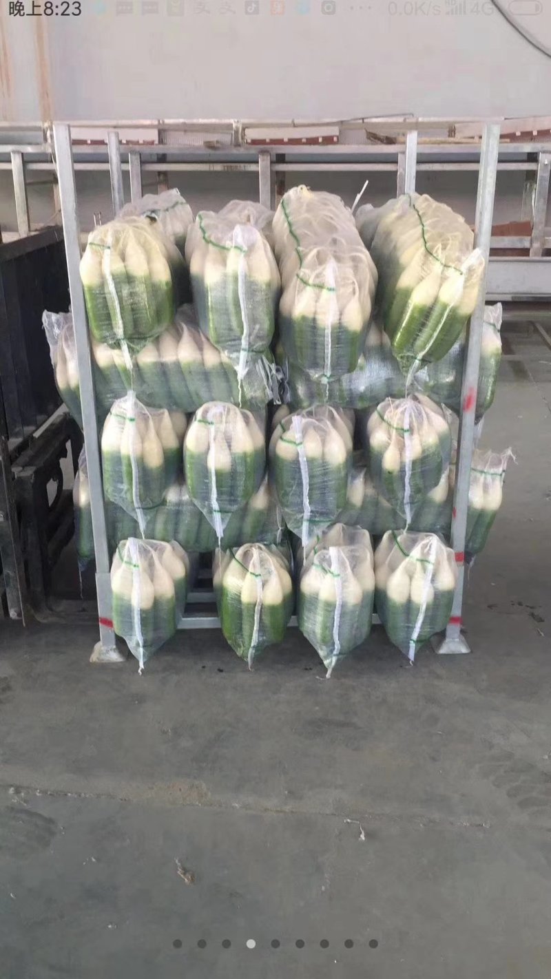 水果萝卜，皮薄肉厚多汁，人工免费，支持打款发货