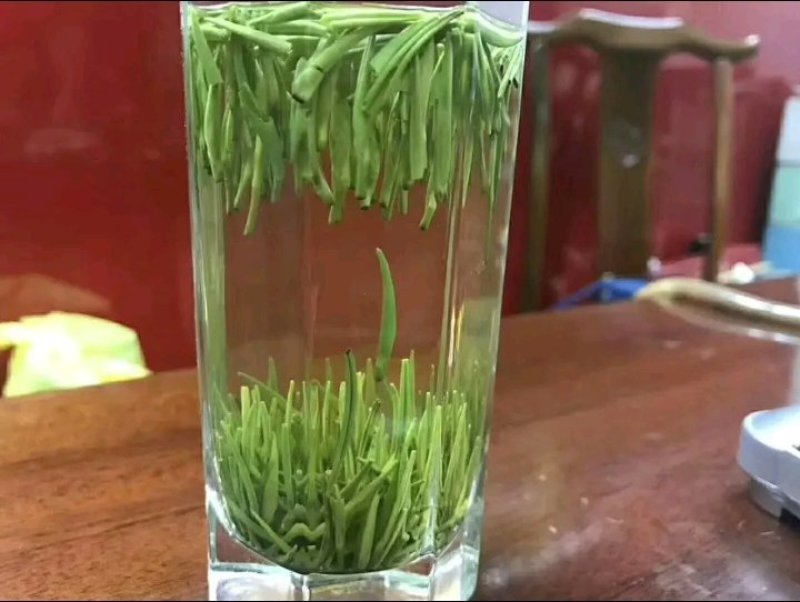 2020竹叶青新茶