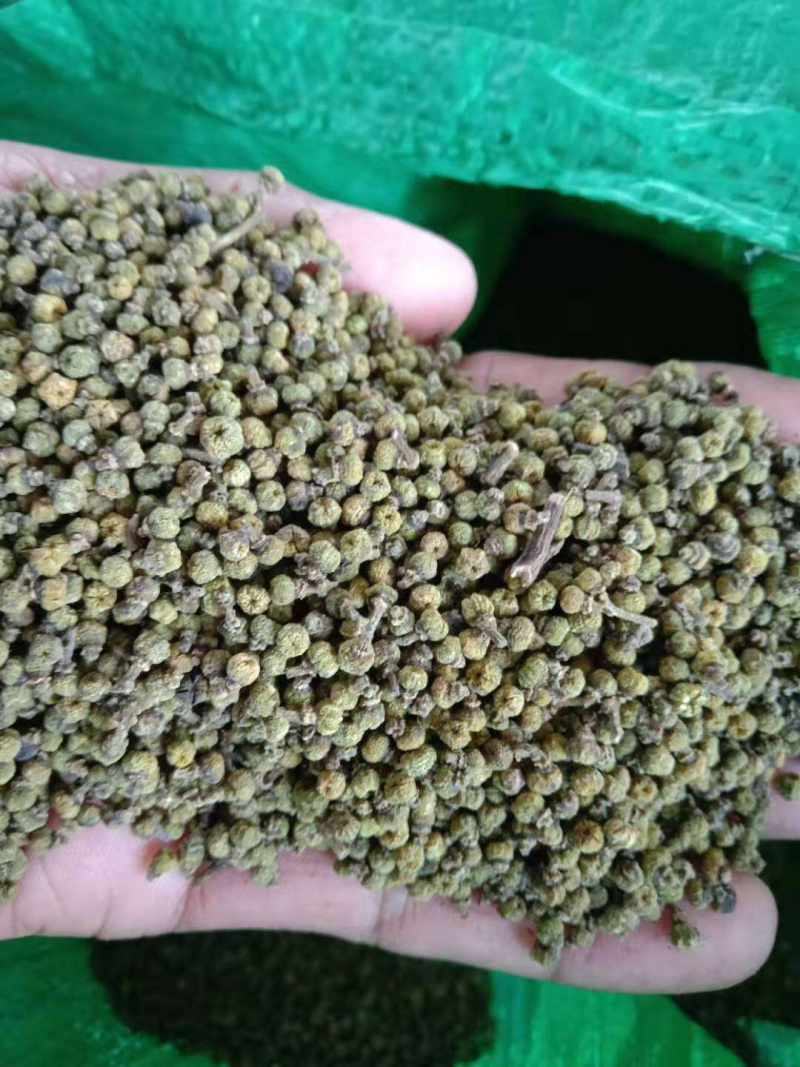 今年产江西中花吴茱萸干货出售，量大从优