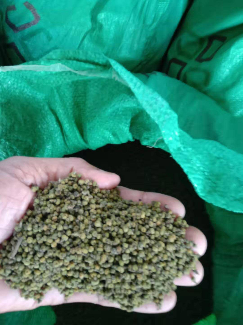 江西中花吴茱萸树出售，量大从优
