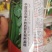 京欣西瓜种子糖度13度高肉脆多汁，商品性好。