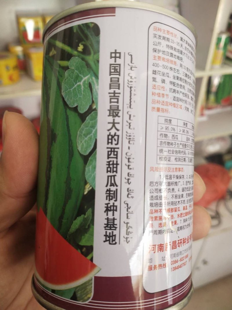 京欣西瓜种子糖度13度高肉脆多汁，商品性好。