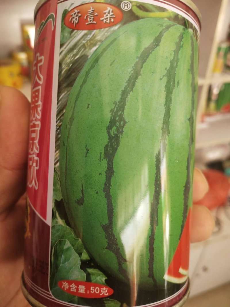 京欣西瓜种子糖度13度高肉脆多汁，商品性好。