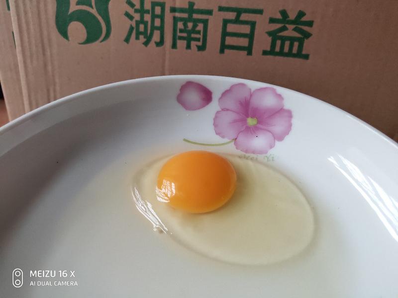 精品双色土鸡蛋新杨黑粉八蒸煮金黄色自产自销长期稳定