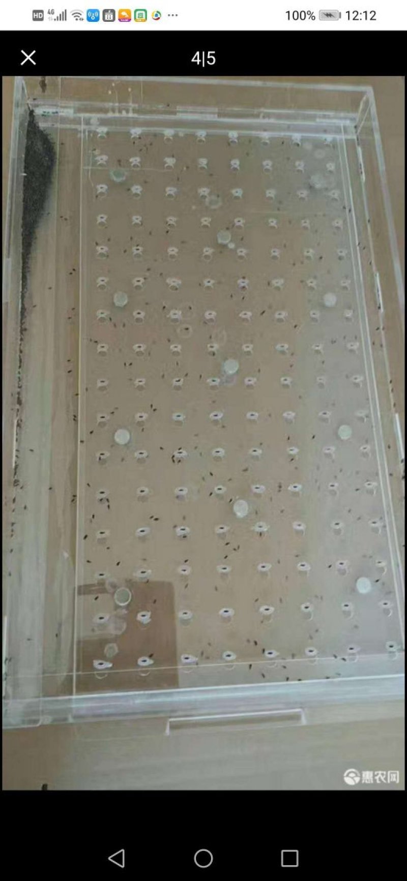 全新幻彩色育苗盘播种器压土器全套