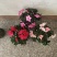 杜鹃花盆栽