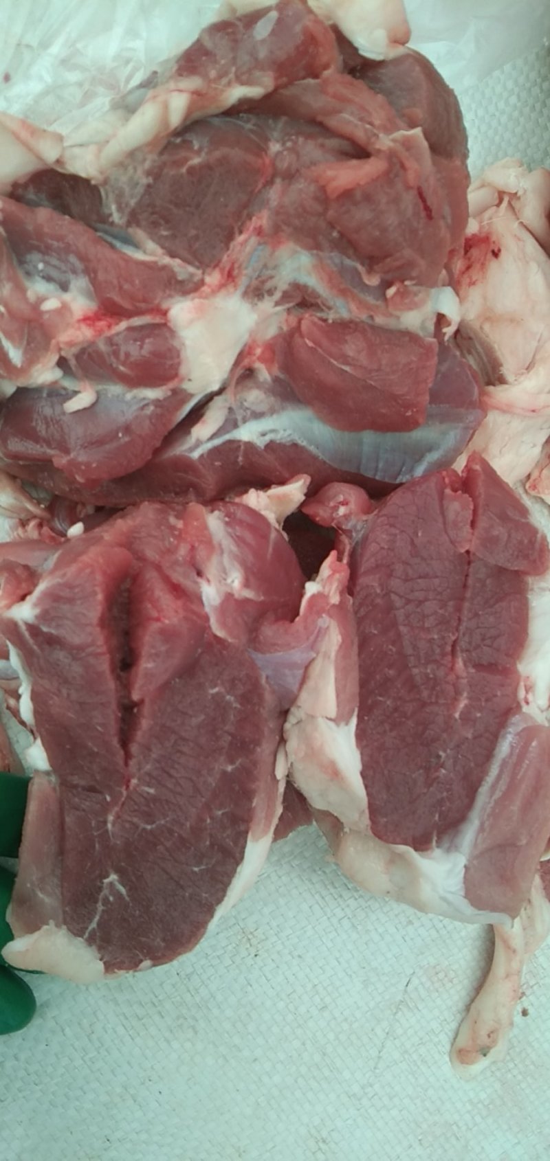 鲜羊肉