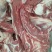 鲜羊肉