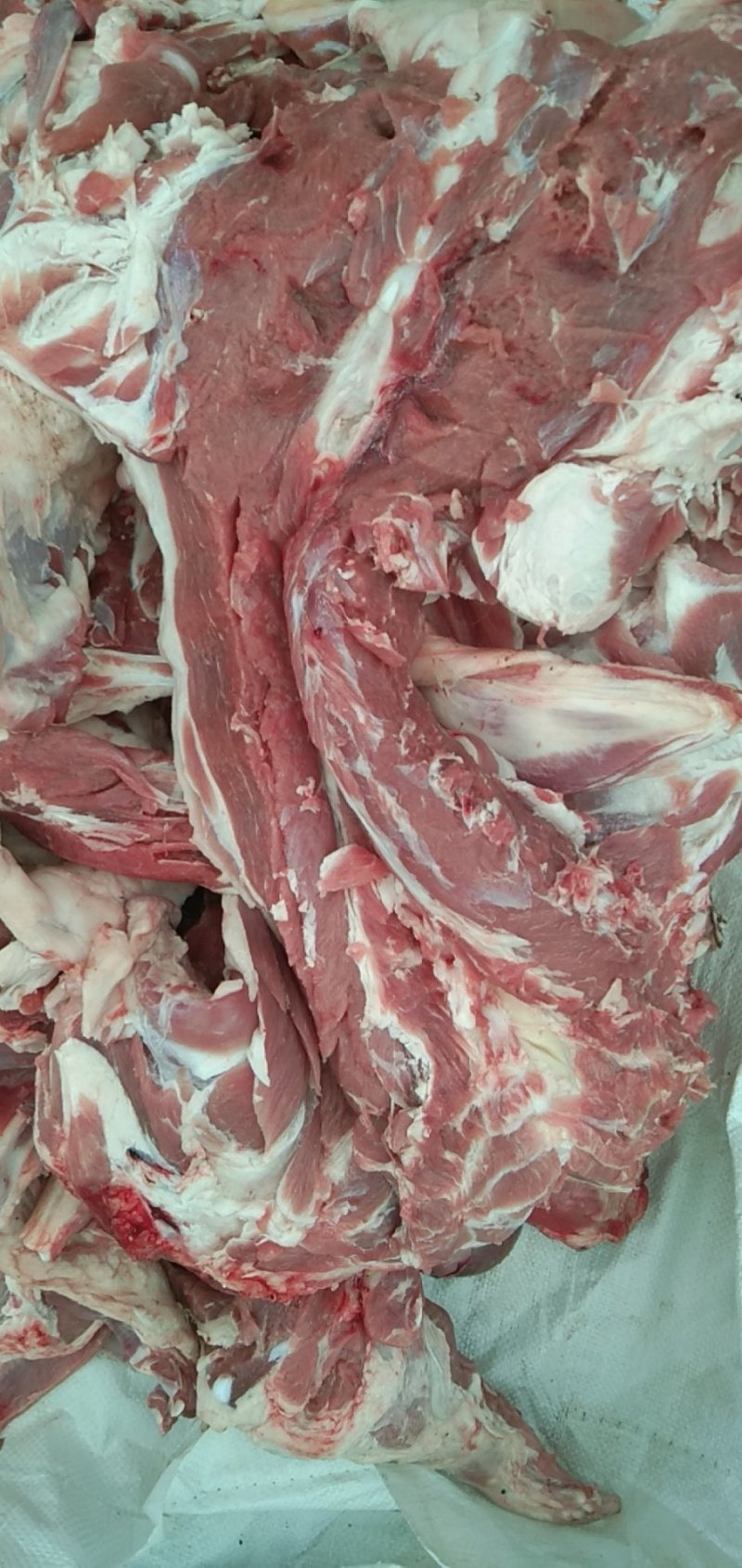 鲜羊肉