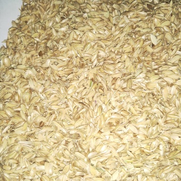 稻壳！稻壳粉！
