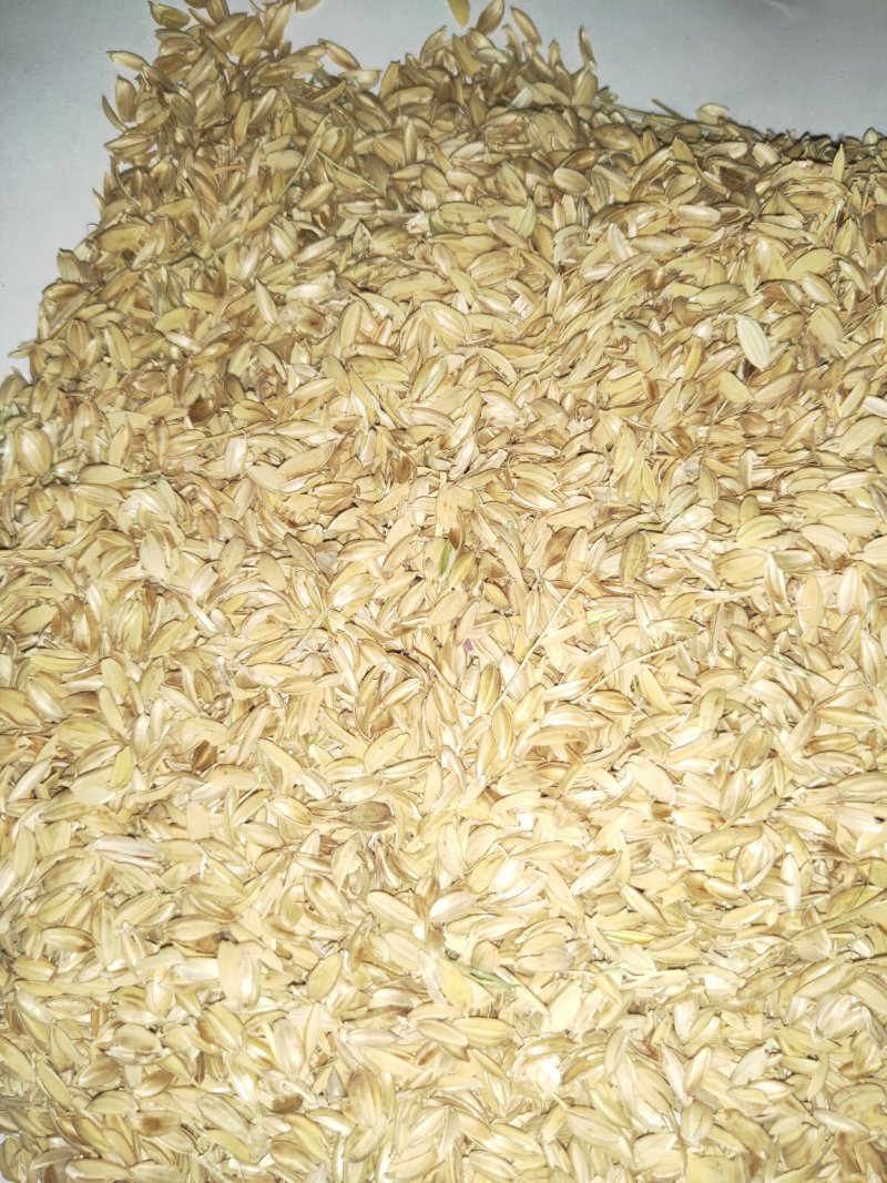 稻壳！稻壳粉！