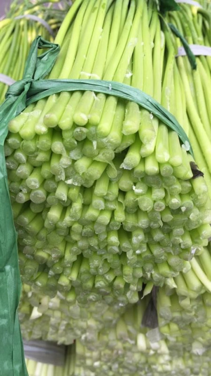 什邡白帽蒜薹50~60厘米和红帽蒜薹