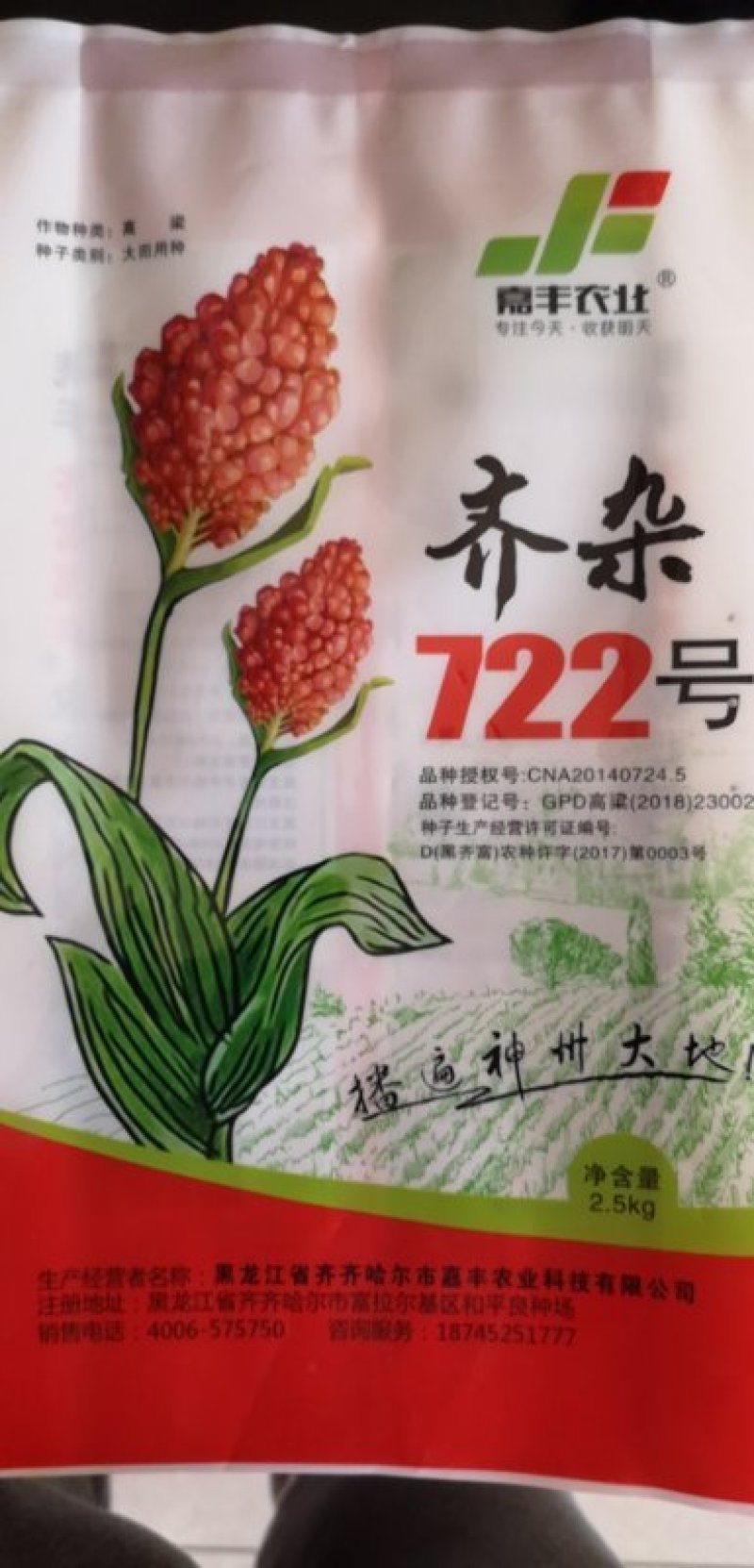 红高粱酿酒专用红糯9号高产高粱种子红高粱新品种