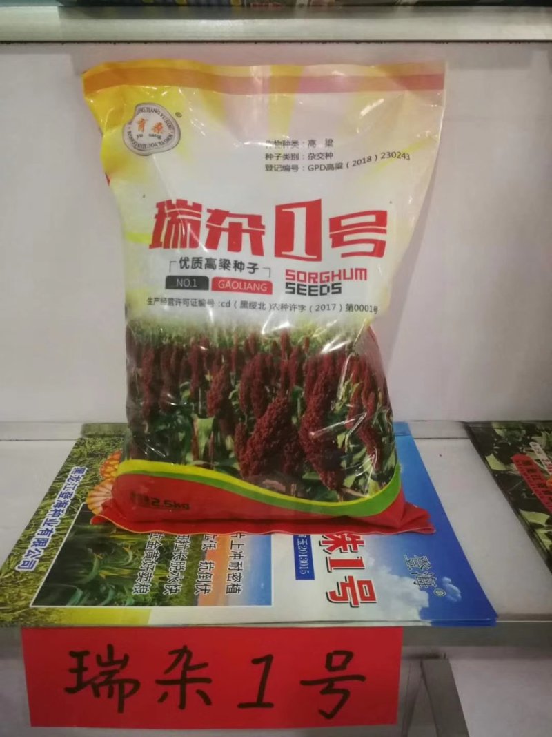 红高粱酿酒专用红糯9号高产高粱种子红高粱新品种