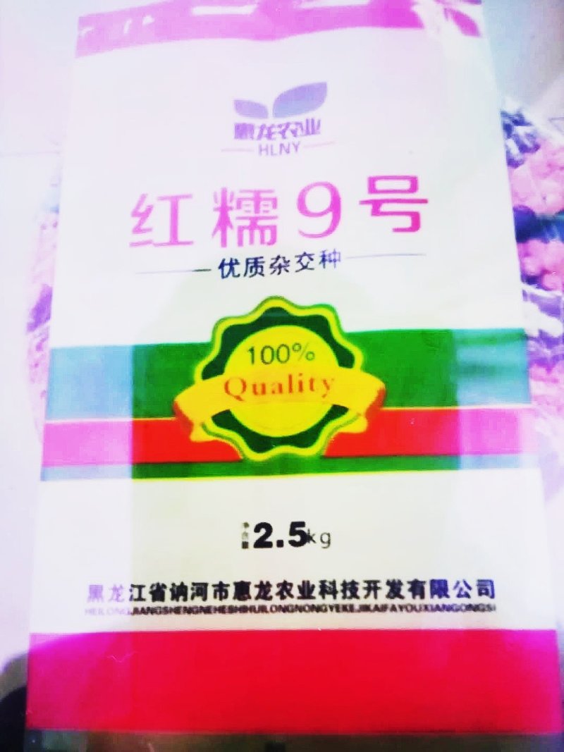 红高粱酿酒专用红糯9号高产高粱种子红高粱新品种