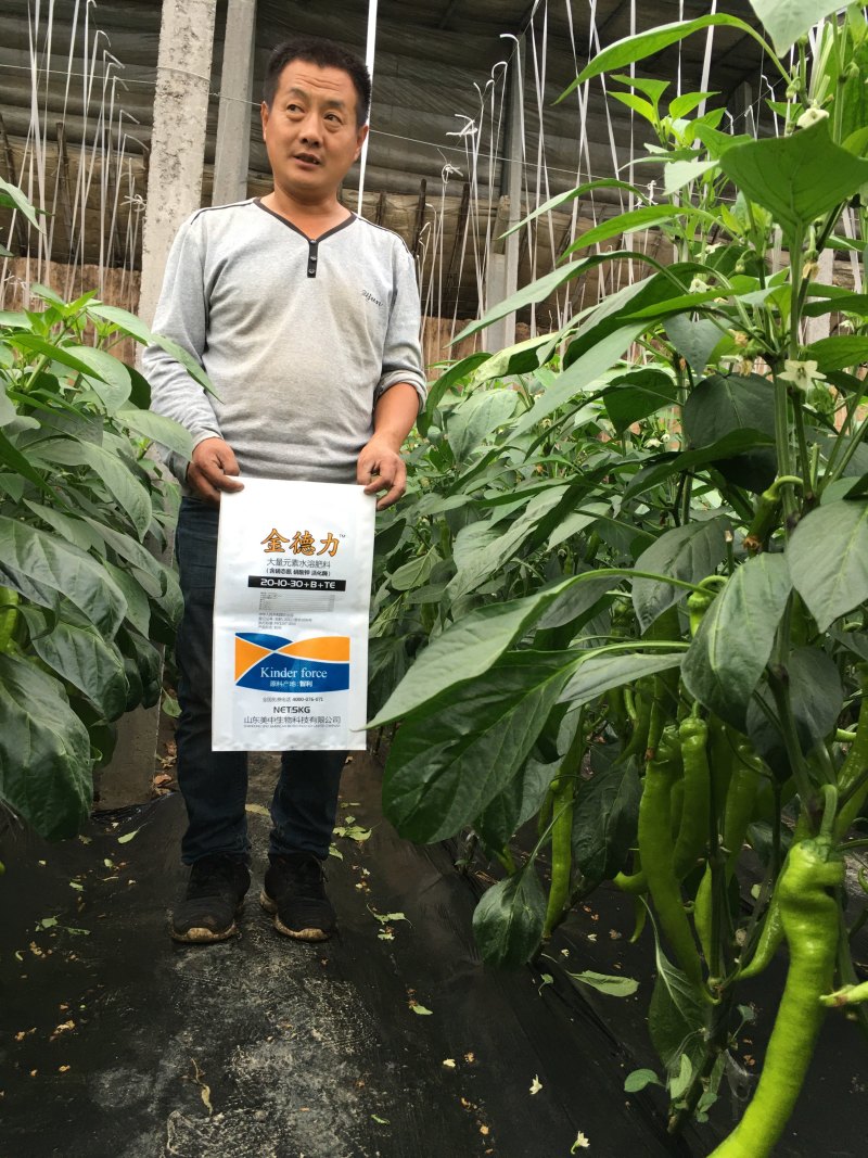 【大元素水溶肥】60含量40斤箱装寿光品牌厂家批发