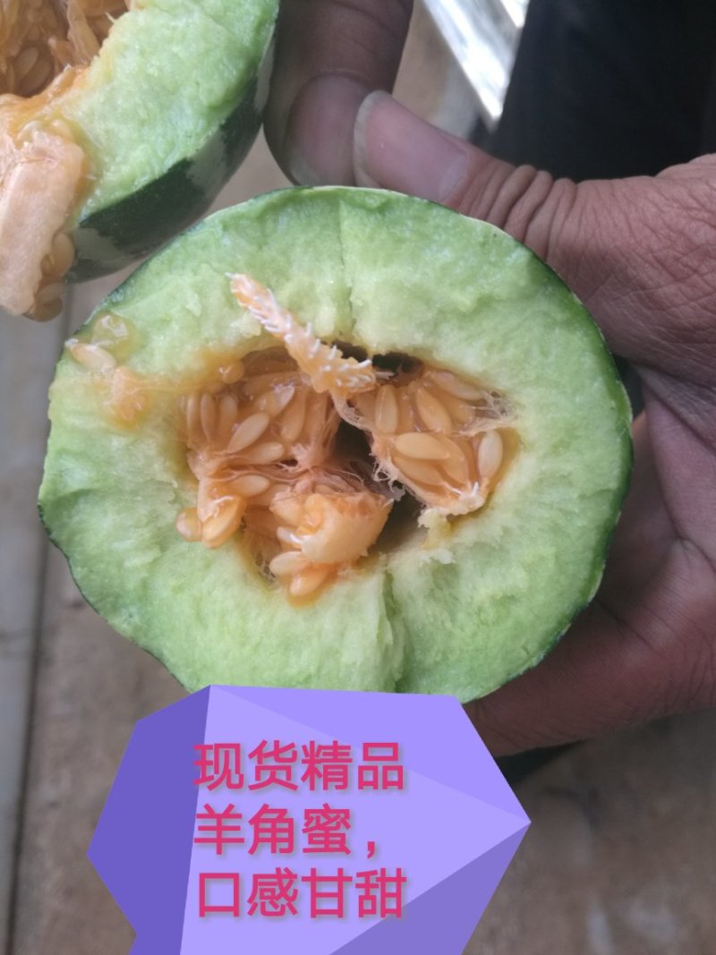 山东羊角蜜大量上市，甘甜可口食品，诚招全国客商，欢迎