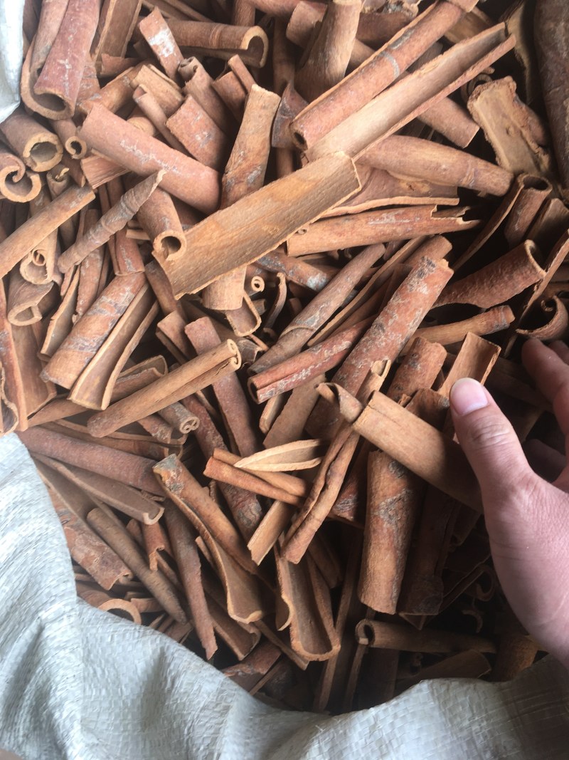 桂通，桂皮，烟桂