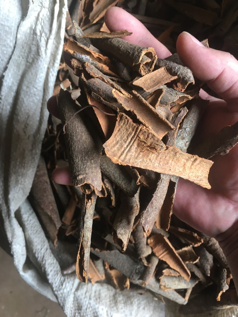 桂皮，桂碎，防城货