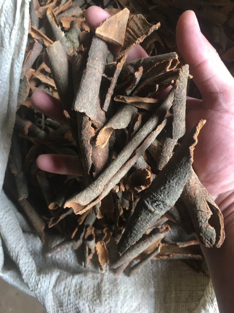 桂皮，桂碎，防城货