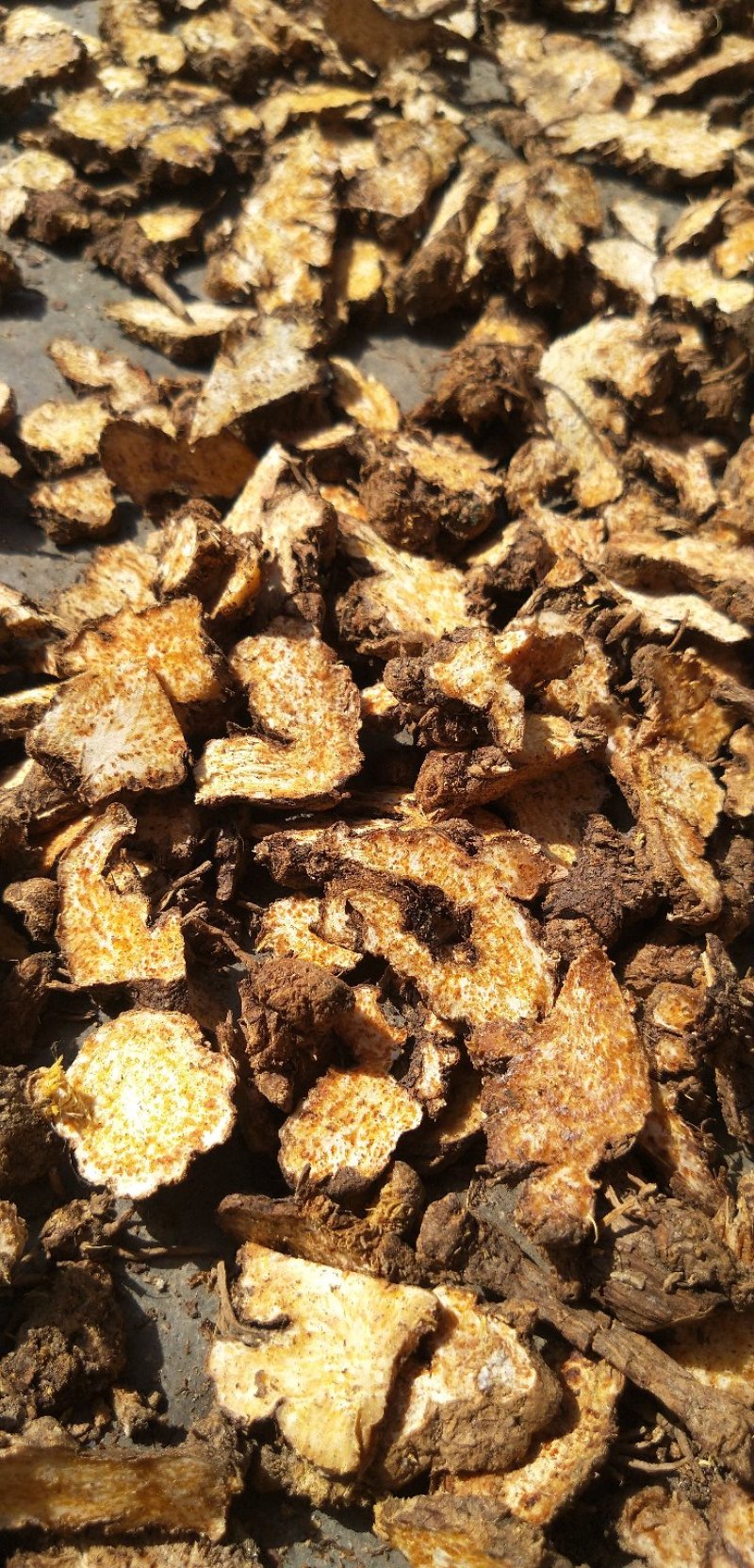 茅苍术麸炒苍术商洛道地源产地现货大量供应