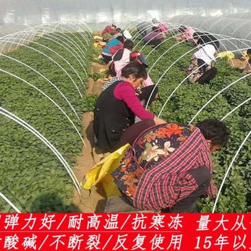 花卉育苗拱棚杆玻璃钢弹力棒保温防虫避雨小地拱支架骨架