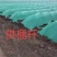 花卉育苗拱棚杆玻璃钢弹力棒保温防虫避雨小地拱支架骨架