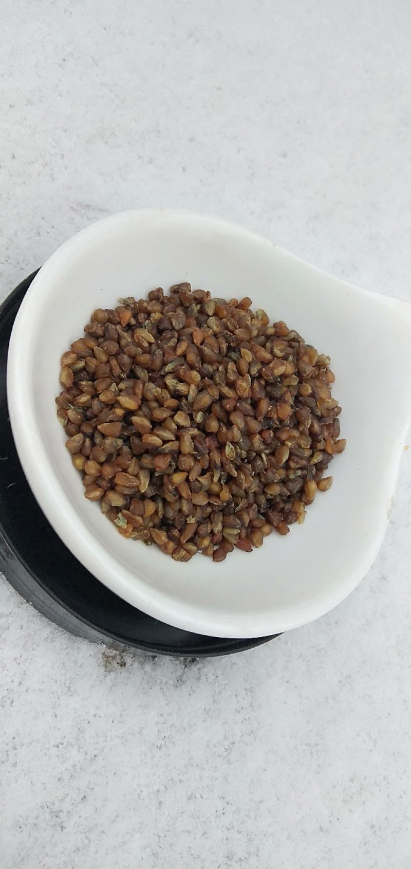 黑苦荞新货一级颗粒饱满8斤包邮一件代发量大从优