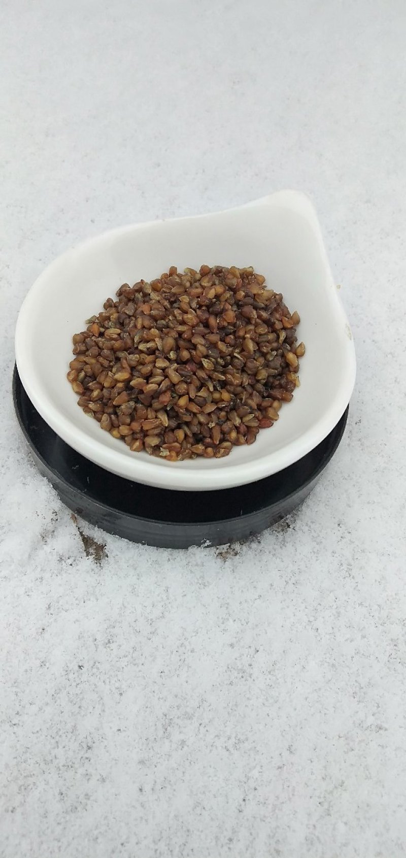 黑苦荞新货一级颗粒饱满8斤包邮一件代发量大从优